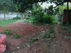Land Sell at Rajshahi